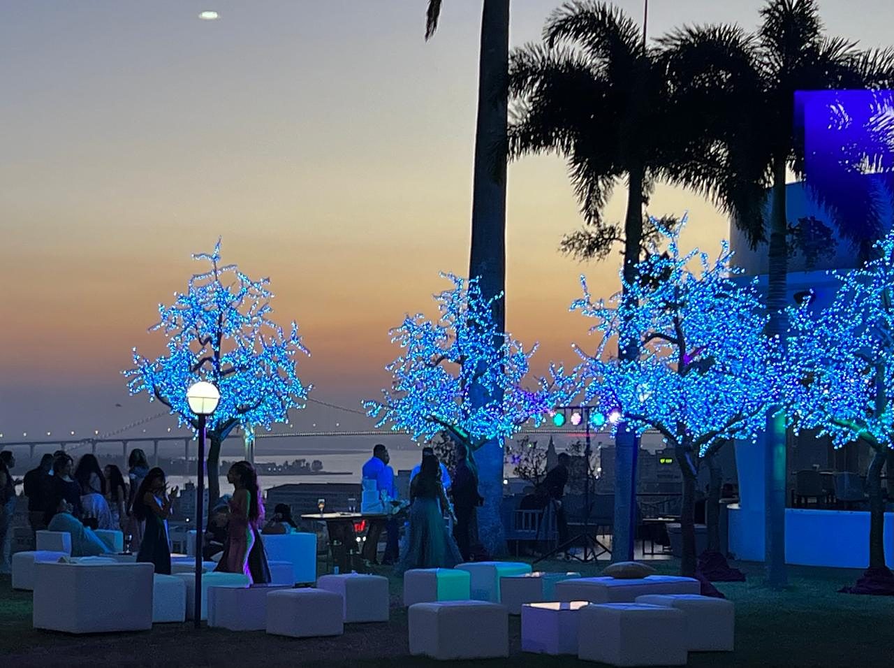 Árvores de luz azuis ao pôr do sol, com convidados e a cidade ao fundo